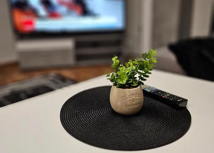 Daily 2 Lägenhet Tirana